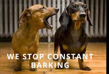dachshund_stop_barking_Love_The_Breed_Store_Blog_large_ffe2b61b-fc9e-4114-a5b5-72ddd98ce139_1200x