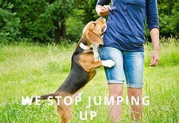 Jumping-Up